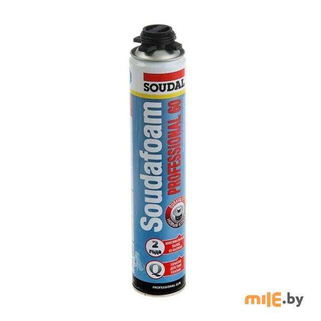 Пена монтажная пистолетная Soudal Professional 60 зимняя 750 мл