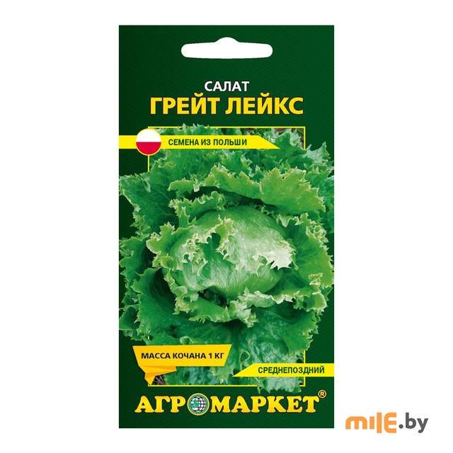 Салат Агромаркет Грейт лейкс 30301 1 г