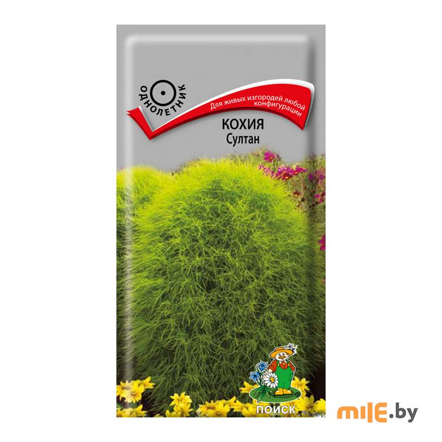 Семена кохия Агрофирма Поиск Султан (0,1 г)