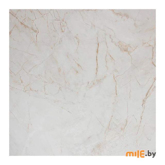 Керамогранит Euro-Ceramics Севилья 10GCRGSV0102 600x600 мм
