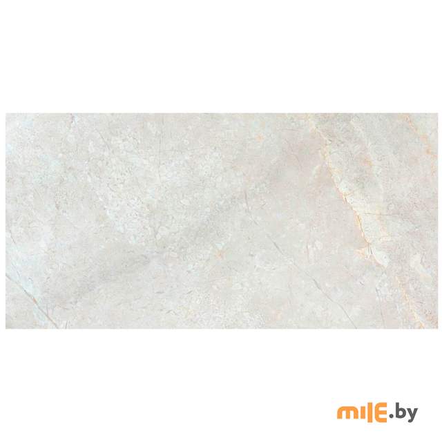 Керамогранит Beryoza Ceramica Vivero GP палевый 600х300