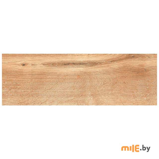 Керамогранит Nowa Gala Ashwood 05 20x60