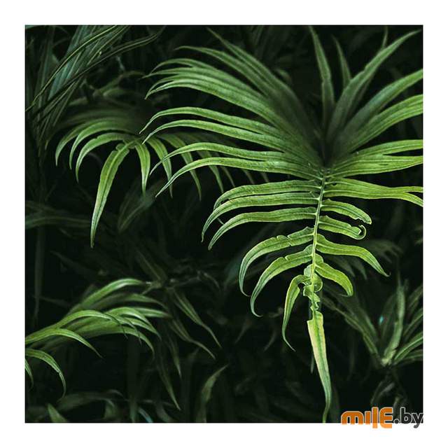 Картина на стекле Stamprint Виды 2 (AR028) 30х30 см