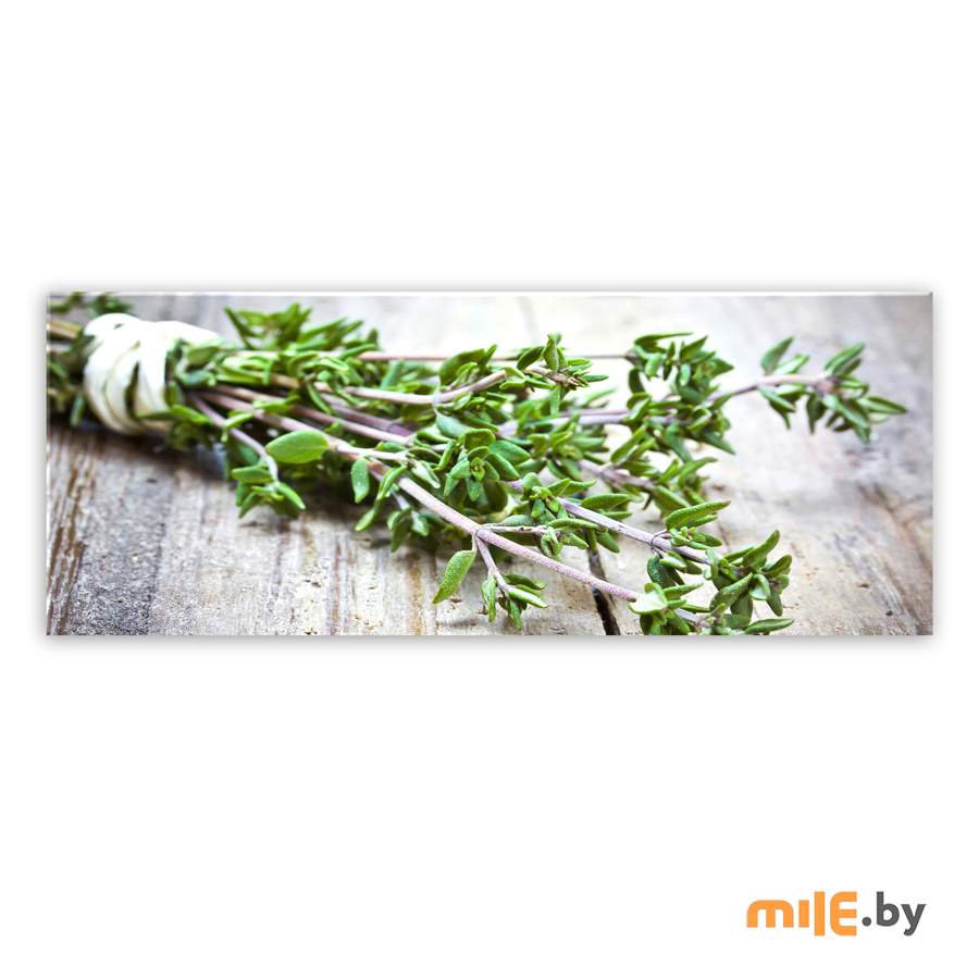 Репродукция на стекле Styler Зелень пряная (GL-01056) 30x80 см