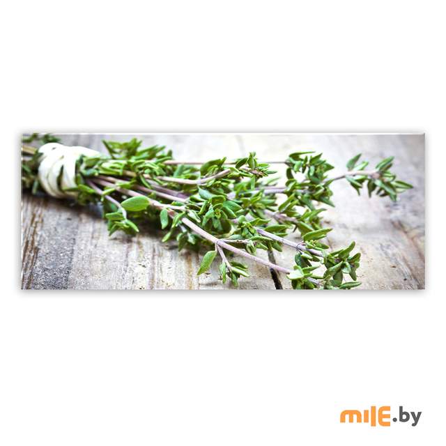 Репродукция на стекле Styler Зелень пряная (GL-01056) 30x80 см