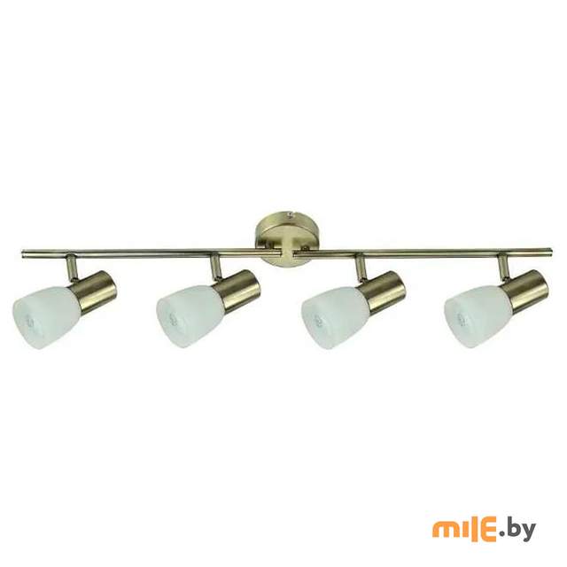 Спот Power Light Standart 3040/4-1BZ