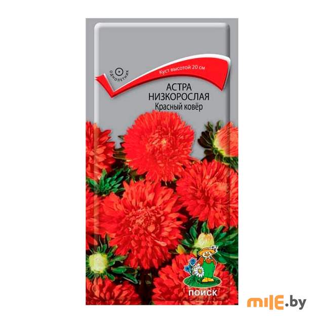 Астра низкорослая Красный ковер (ЦВ) 0,2 г