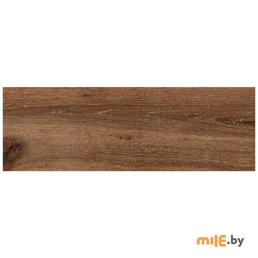 Керамогранит Nowa Gala Ashwood 04 20x60