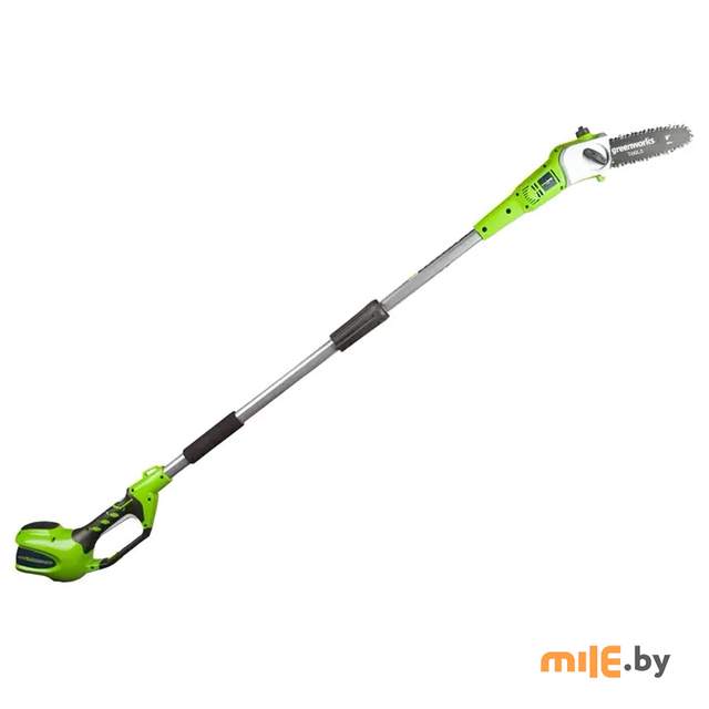 Сучкорез аккумуляторный Greenworks G40PSF (1401107)