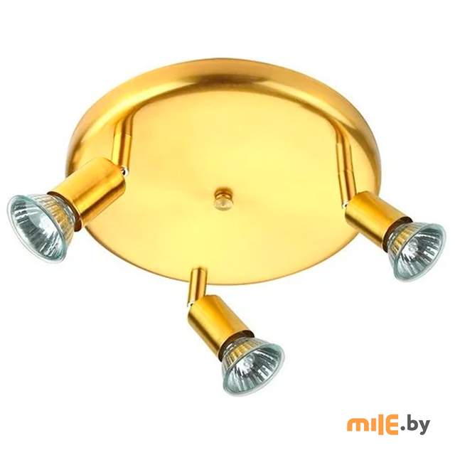 Спот Power Light Munchen 3025/3К-2GD