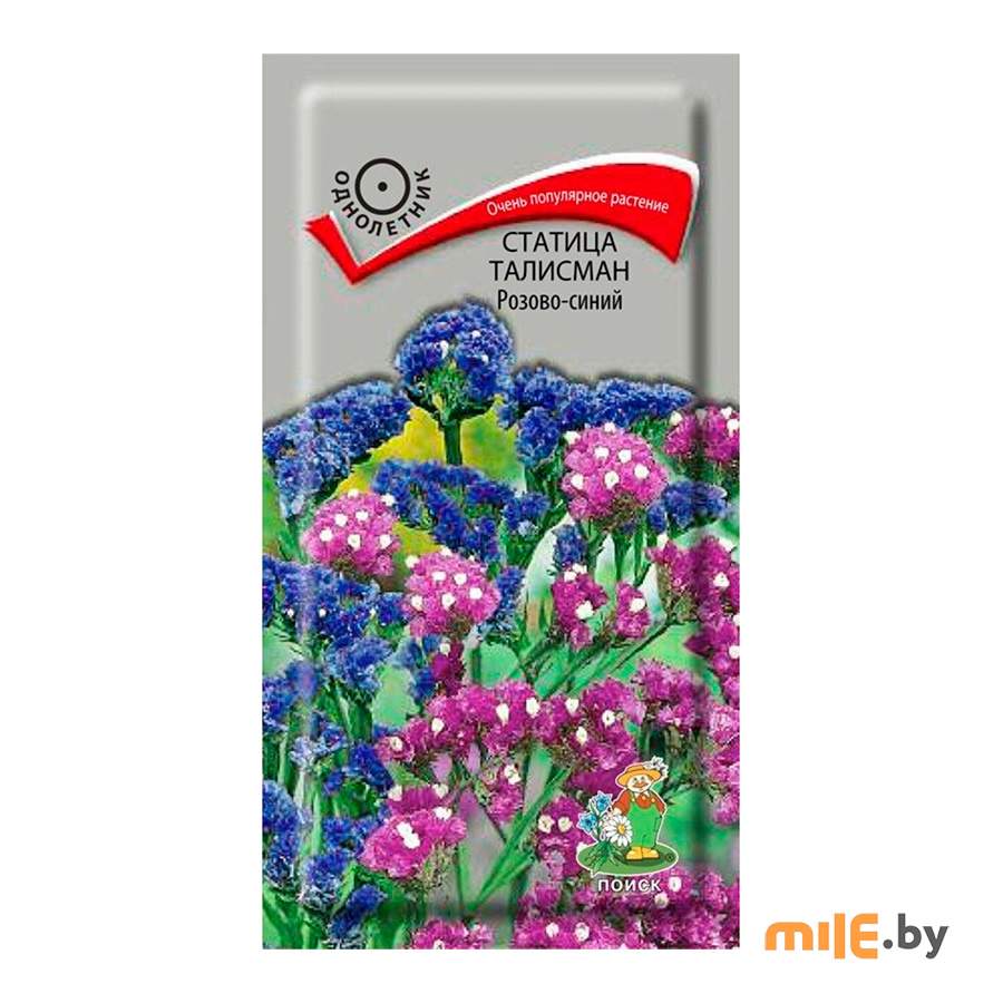 Семена статицы Агрофирма Поиск Талисман (ЦВ) 0,1 г