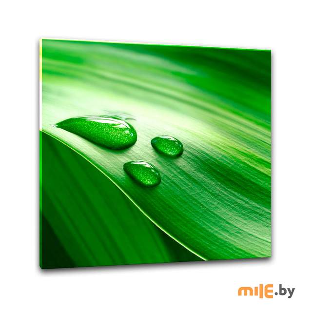 Репродукция на стекле Styler GL-00008 (30x30 см)