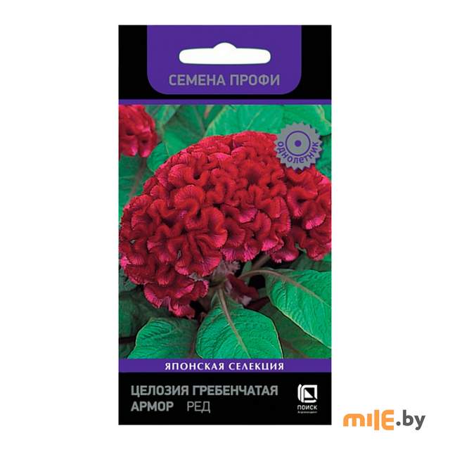 Семена Агрофирма Поиск Целозия гребенчатая Армор Ред (15 шт.)