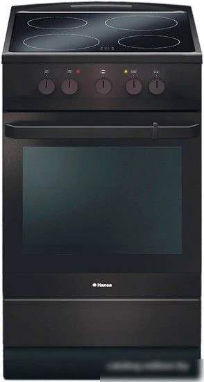Кухонная плита Hansa FCCB54000