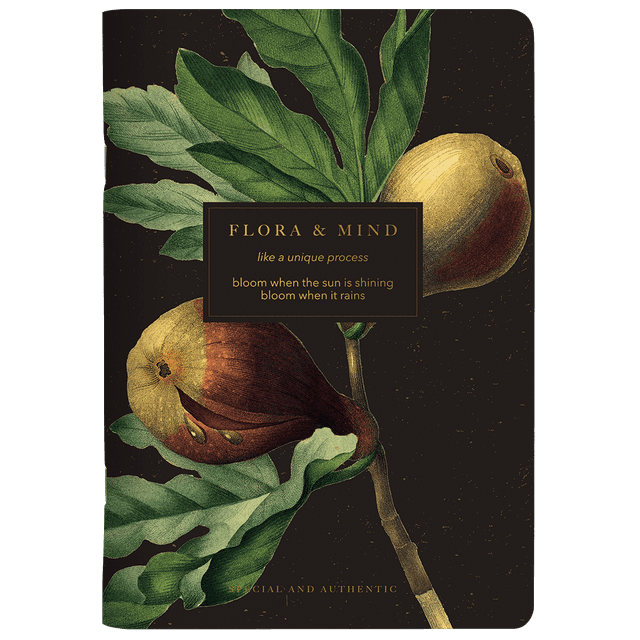 Тетрадь Flora инжир", А5, 40 листов, клетка, разноцветный