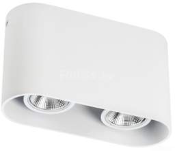 Точечный светильник Lightstar Rullo 2xHP16 214866