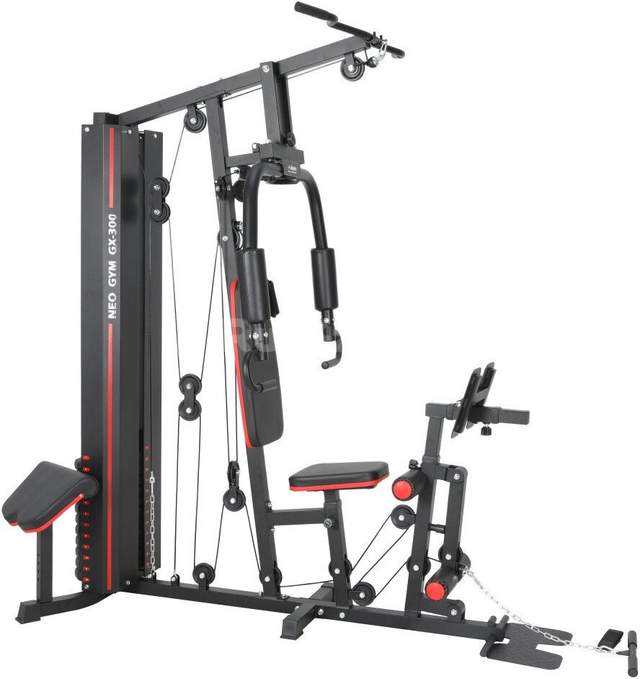 Силовой комплекс Alpin Neo Gym GX-300