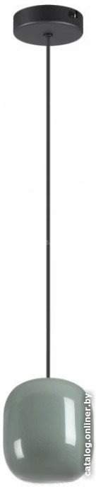 Подвесная люстра Odeon Light Ovali 5053/1C