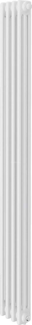 Стальной трубчатый радиатор Royal Thermo Insignia VC3180 - 04 секций RAL9016