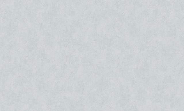 Обои виниловые Erismann MONOLIT 1,06*10,05м 60706-05