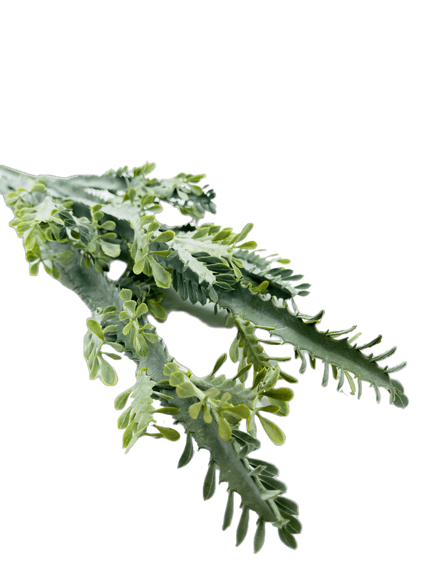 Растение искусственное, Trident Cactus, 58см, арт. MU8106