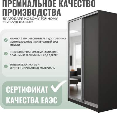 Шкаф-купе Рэйгрупп 176 EEX Elgon РГ-09.06