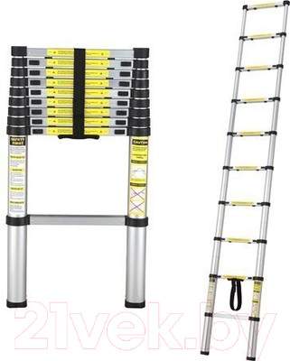 Телескопическая лестница Startul ST9734-032