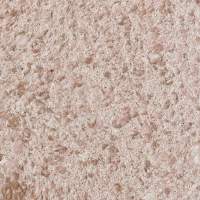 Жидкие обои Silk Plaster Виктория 708