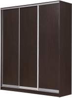 Шкаф-купе Рэйгрупп 233450 VVX Elgon РГ-01.03
