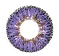 Комплект контактных линз Hera Elegance Violet Sph-5.00