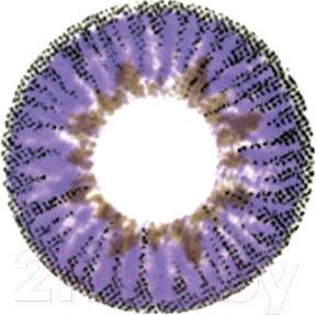 Комплект контактных линз Hera Elegance Violet Sph-6.00
