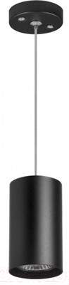 Потолочный светильник Lightstar Rullo RP437