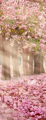 Фотообои листовые Citydecor Сказочная природа 5