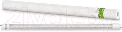 Светильник для растений INhome LED-T8-FITO / 4690612033778
