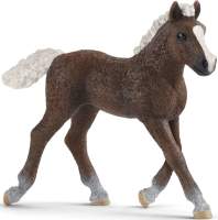 Фигурка игровая Schleich Шварцвальдский жеребенок / 13899