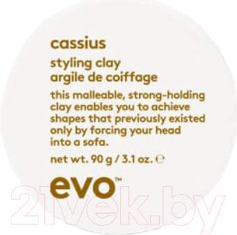 Глина для укладки волос Evo Cassius Styling Clay Конструирующая