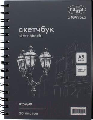 Скетчбук ГАММА Студия / 50SK03S730N