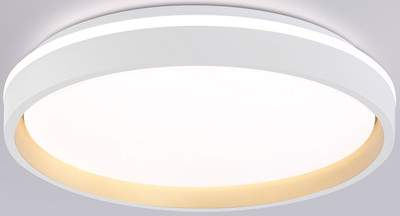 Потолочный светильник Ambrella Orbital FZ607 WH/GD