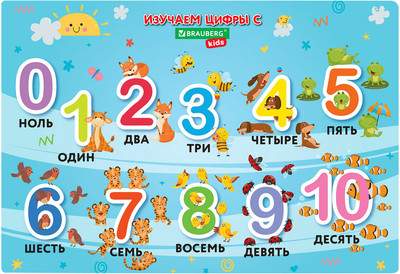 Бювар Brauberg Kids. Numbers / 272361