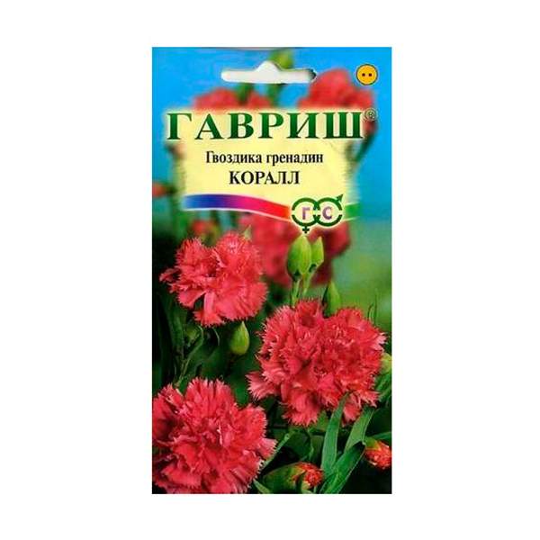 Гвоздика садовая гренадин Коралл 0,1 г Н9