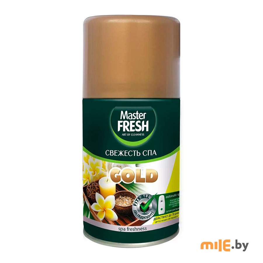 Сменный баллон освежителя воздуха Master Fresh Свежесть SPA 250 мл