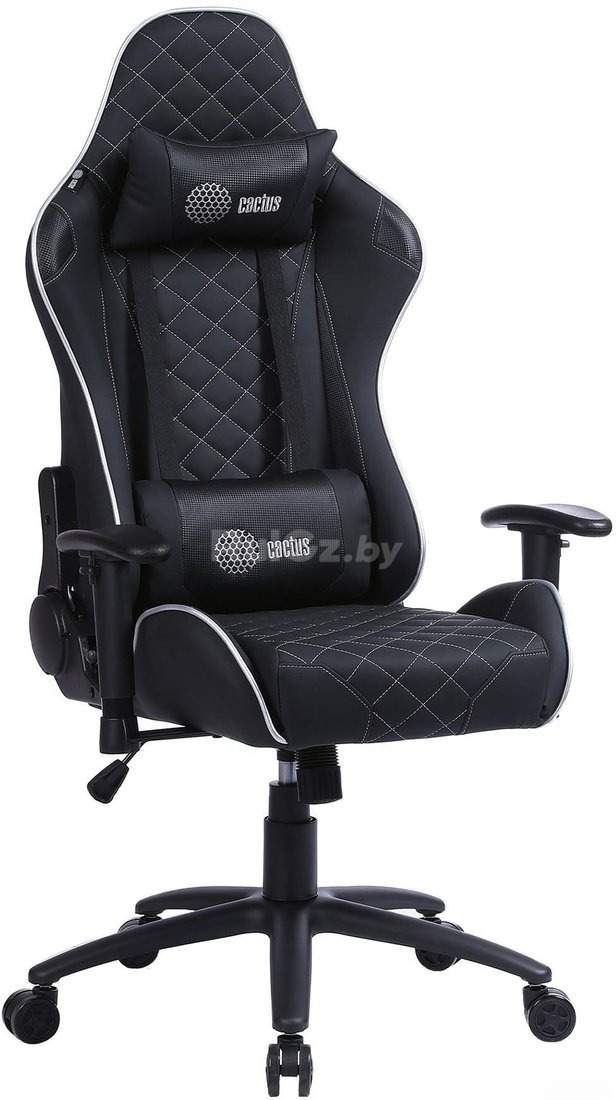 Кресло CACTUS CS-CHR-030BLS (черный/серебристый)