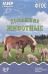 Купить Наглядное пособие 21век