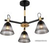 Подвесная люстра Rivoli Elmira 9117-303 Б0053431 цена