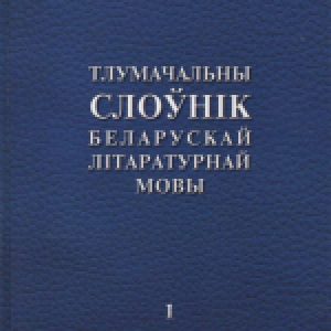 Купить Словарь 21век
