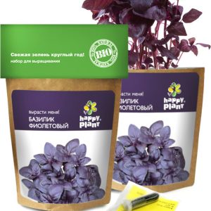Набор для опытов Happy plant Базилик фиолетовый hpn-5 цена