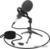 Проводной микрофон Ritmix RDM-160 цена