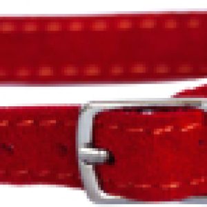 Купить Ошейник 21век