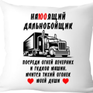 Подушка декоративная Настоящий дальнобойщик 40х40raz18 21век