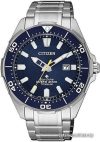 Наручные часы Citizen BN0201-88L цена